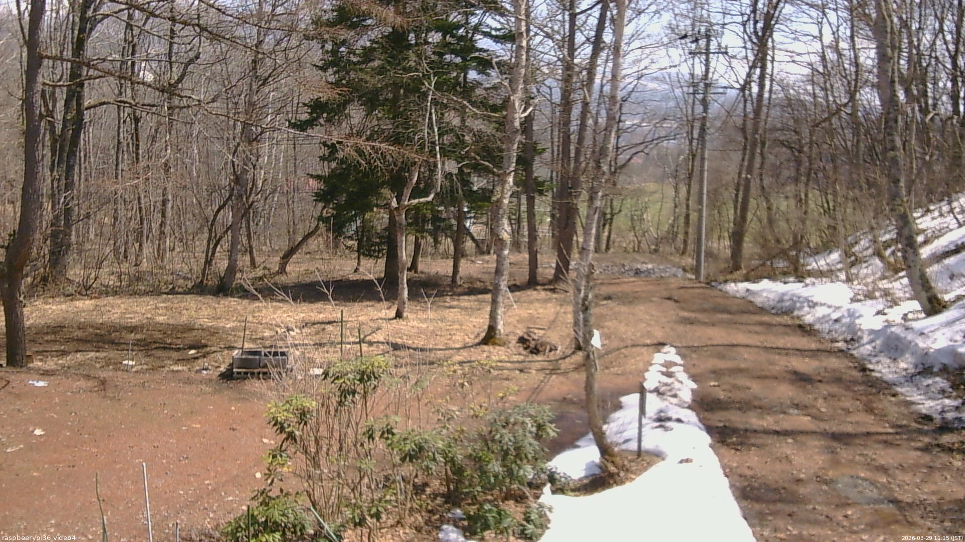 長野県菅平高原 ゆたか山荘 坂上 2026/03/29 11:15