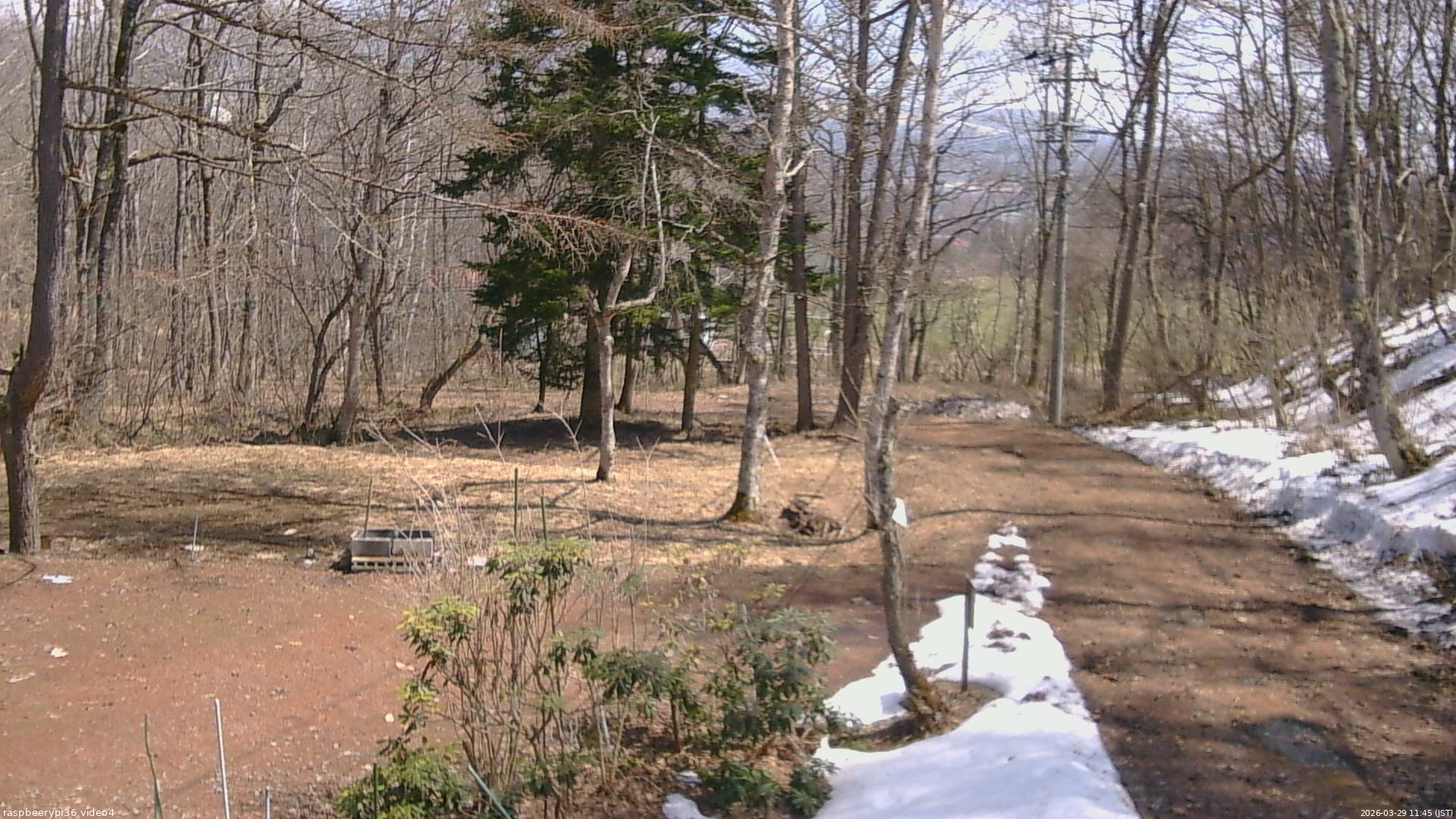長野県菅平高原 ゆたか山荘 坂上 2026/03/29 11:45