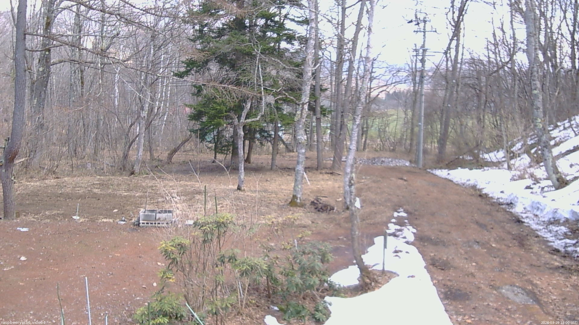 長野県菅平高原 ゆたか山荘 坂上 2026/03/29 13:00
