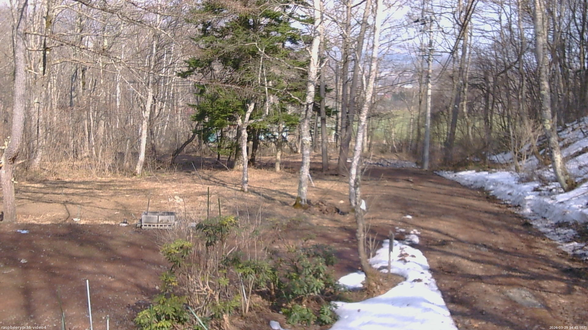 長野県菅平高原 ゆたか山荘 坂上 2026/03/29 14:45