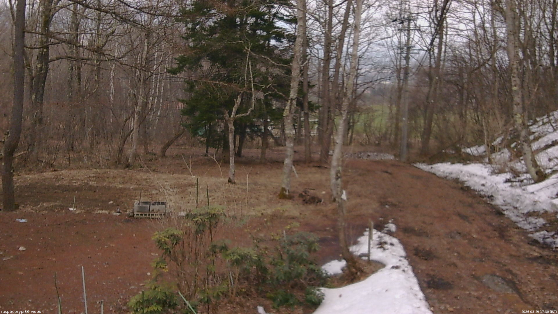 長野県菅平高原 ゆたか山荘 坂上 2026/03/29 17:30