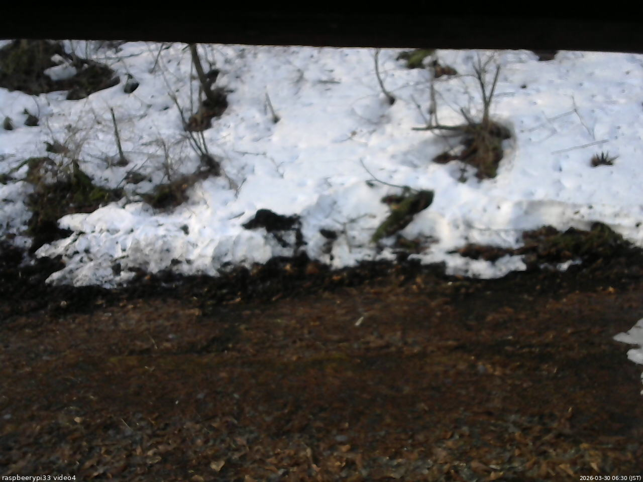 長野県菅平高原 ゆたか山荘 東側(坂下) 2026/03/30 06:30