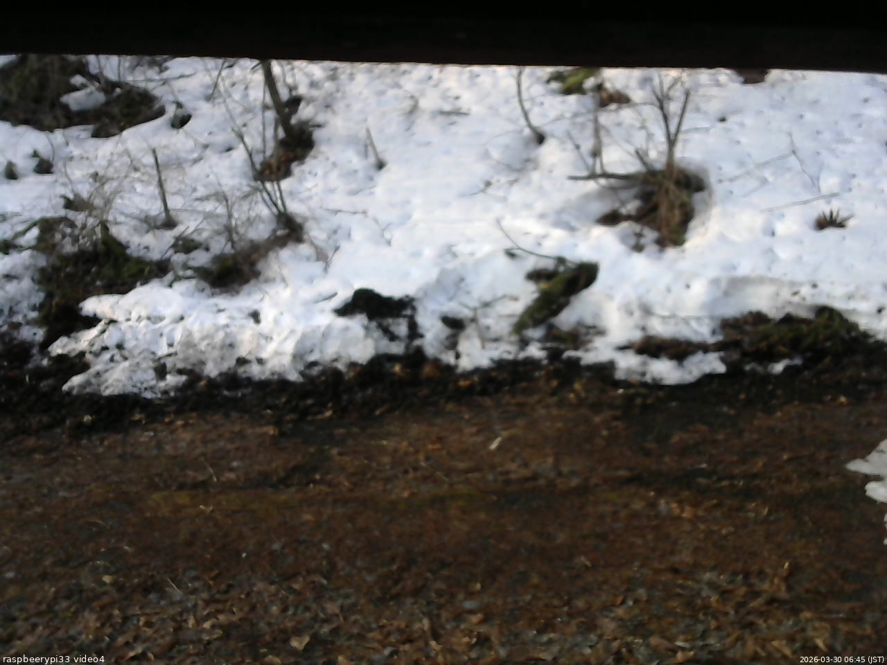 長野県菅平高原 ゆたか山荘 東側(坂下) 2026/03/30 06:45