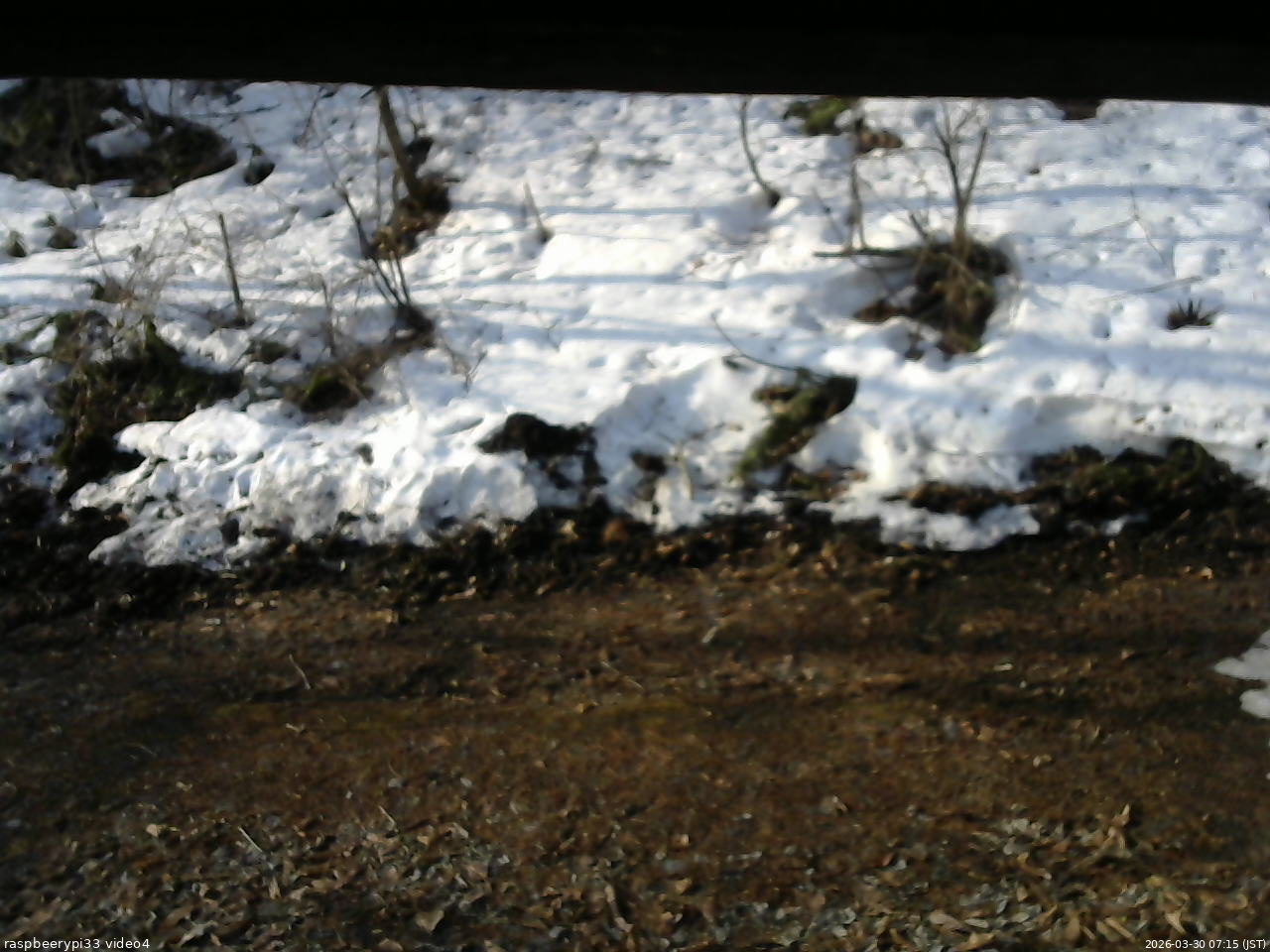 長野県菅平高原 ゆたか山荘 東側(坂下) 2026/03/30 07:15