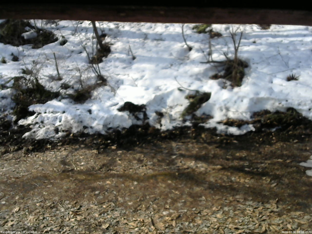 長野県菅平高原 ゆたか山荘 東側(坂下) 2026/03/30 08:00