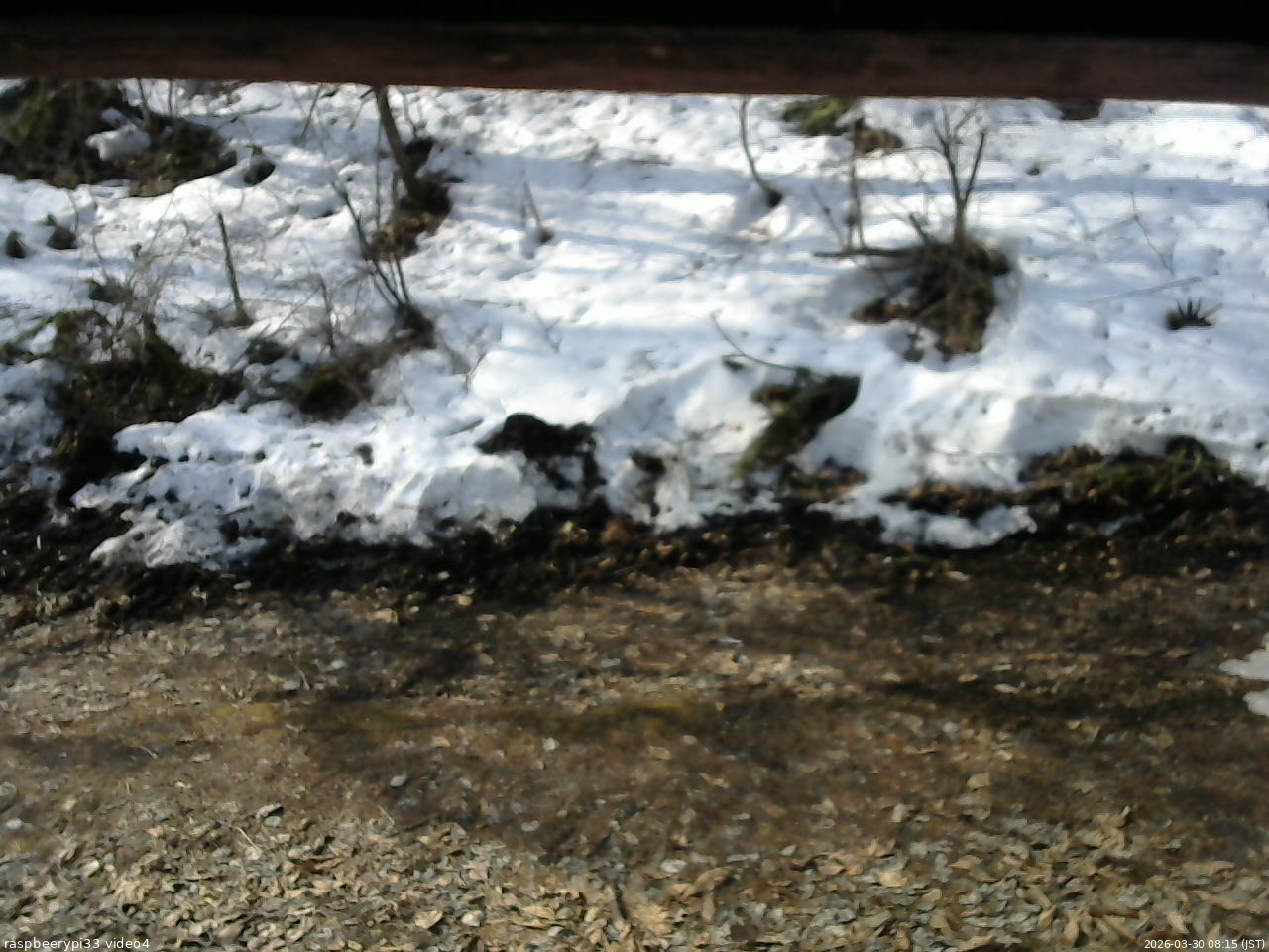 長野県菅平高原 ゆたか山荘 東側(坂下) 2026/03/30 08:15