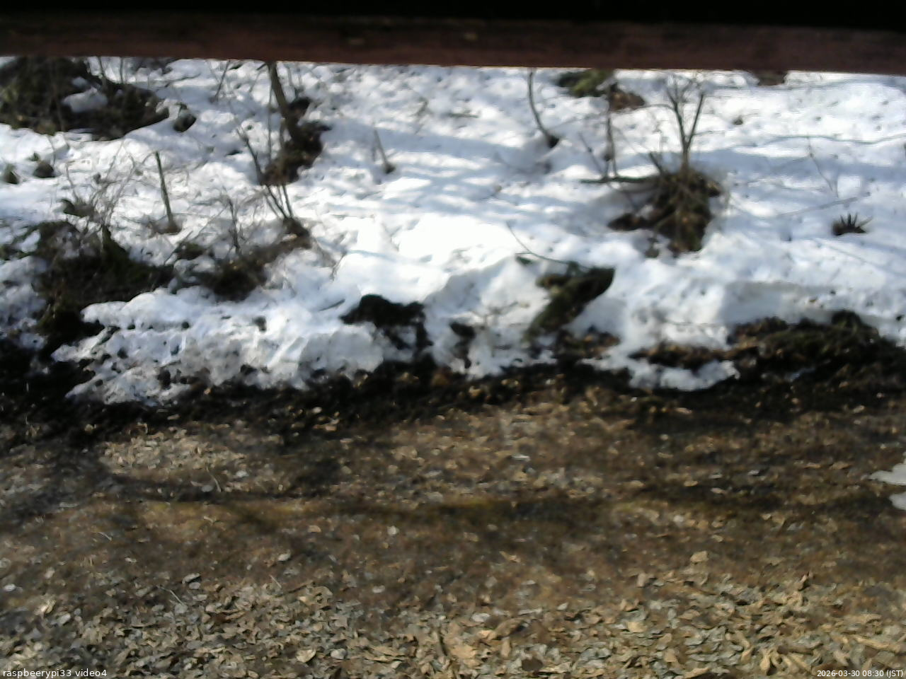 長野県菅平高原 ゆたか山荘 東側(坂下) 2026/03/30 08:30