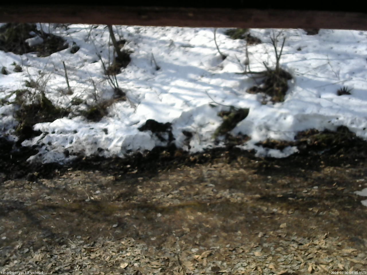 長野県菅平高原 ゆたか山荘 東側(坂下) 2026/03/30 08:45