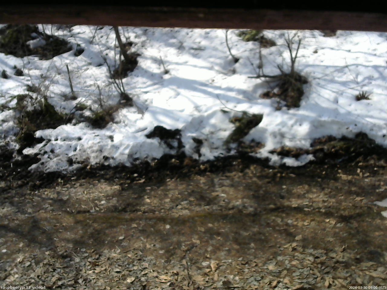 長野県菅平高原 ゆたか山荘 東側(坂下) 2026/03/30 09:00