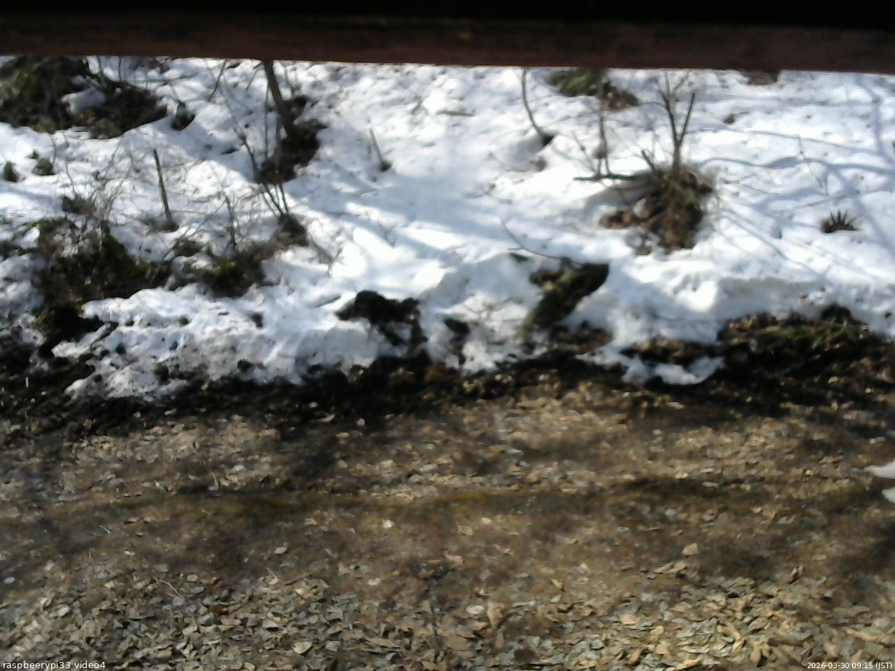 長野県菅平高原 ゆたか山荘 東側(坂下) 2026/03/30 09:15