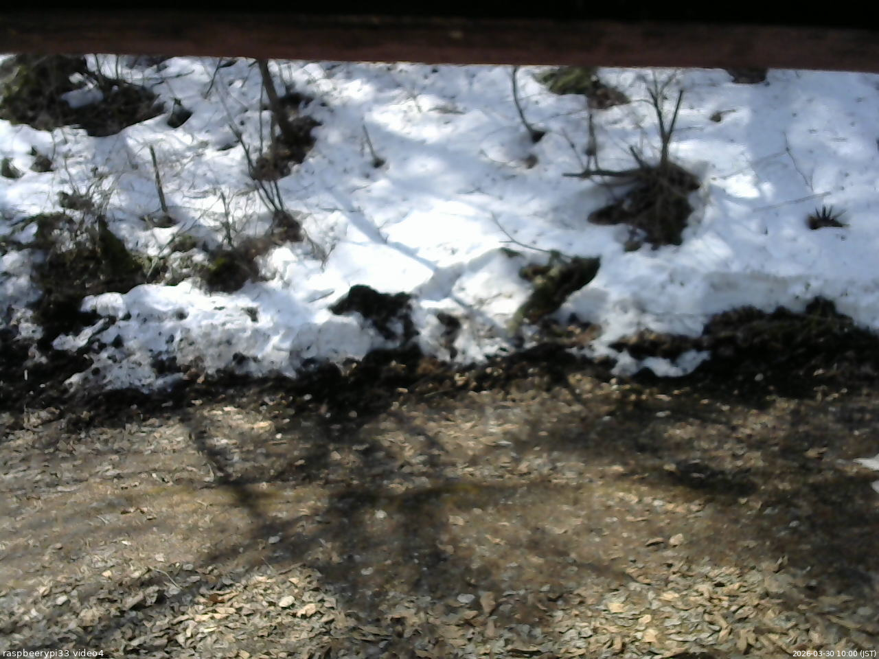 長野県菅平高原 ゆたか山荘 東側(坂下) 2026/03/30 10:00