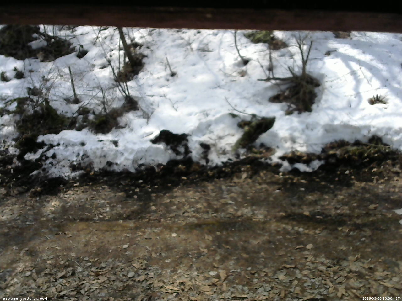 長野県菅平高原 ゆたか山荘 東側(坂下) 2026/03/30 10:30