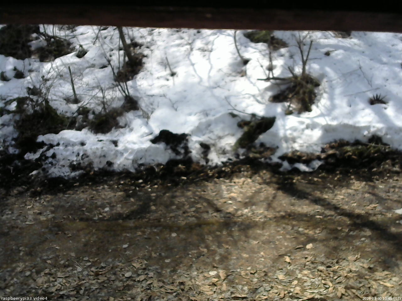 長野県菅平高原 ゆたか山荘 東側(坂下) 2026/03/30 10:45