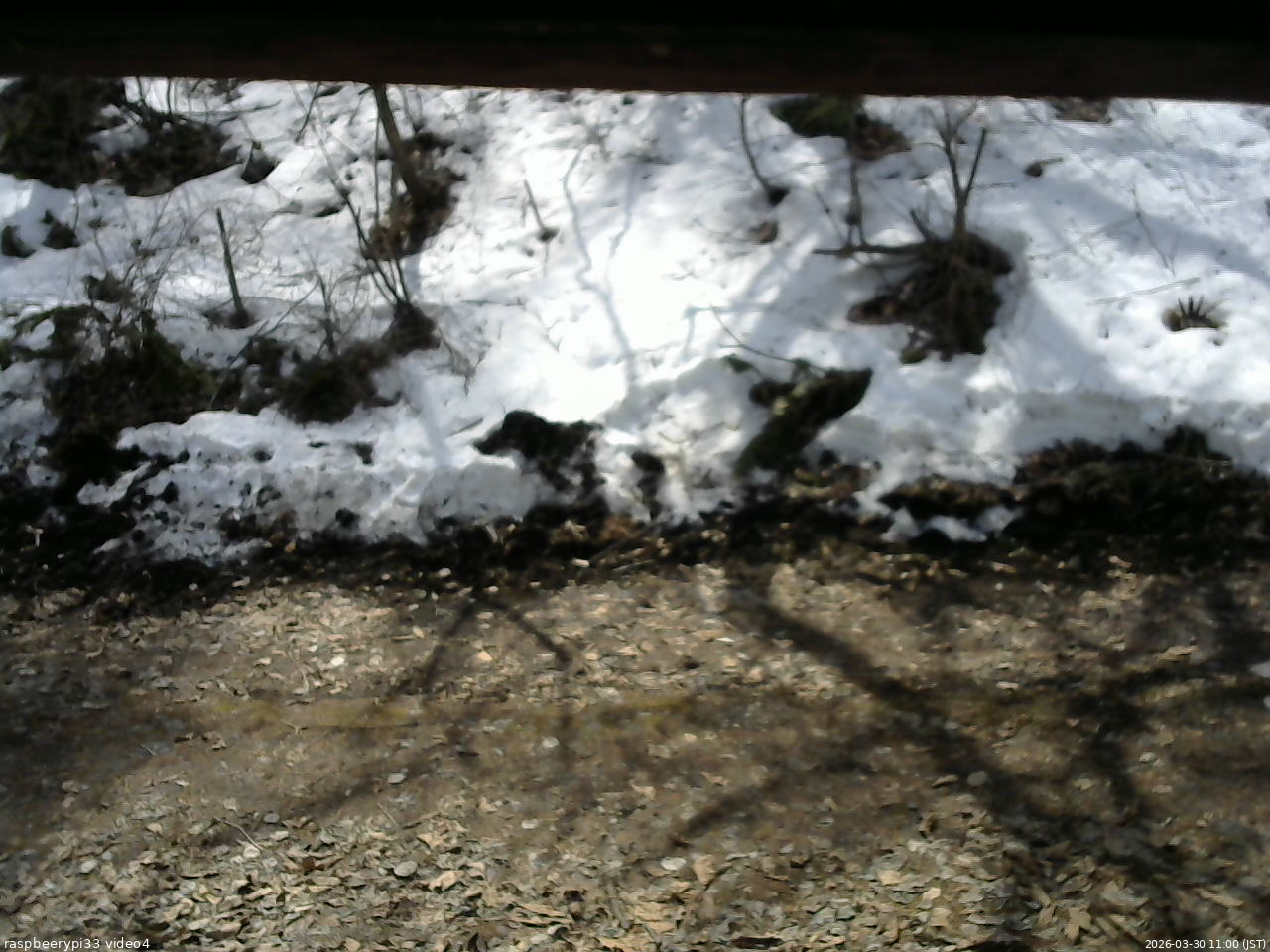 長野県菅平高原 ゆたか山荘 東側(坂下) 2026/03/30 11:00