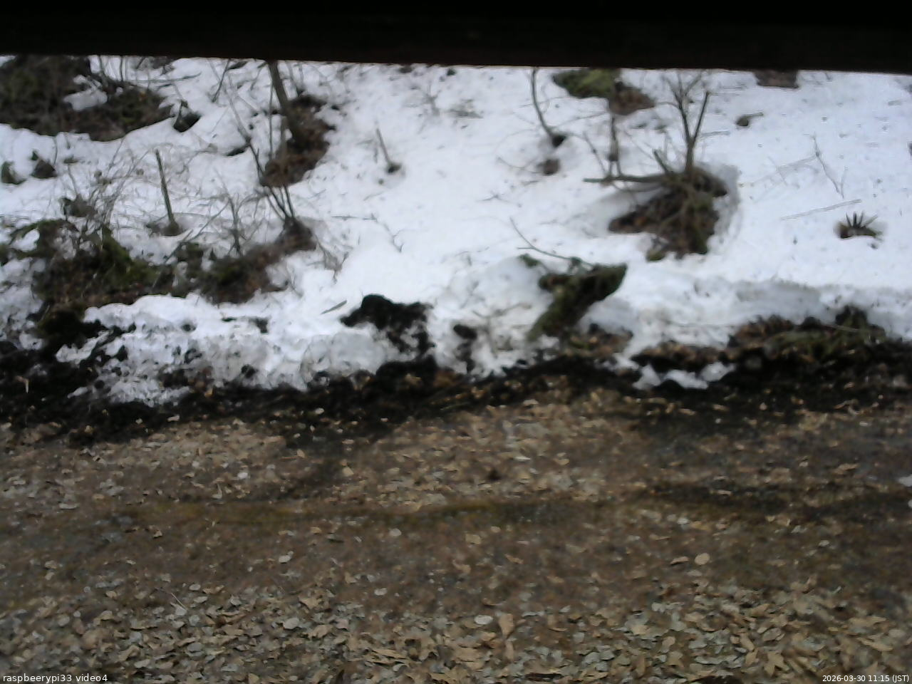 長野県菅平高原 ゆたか山荘 東側(坂下) 2026/03/30 11:15