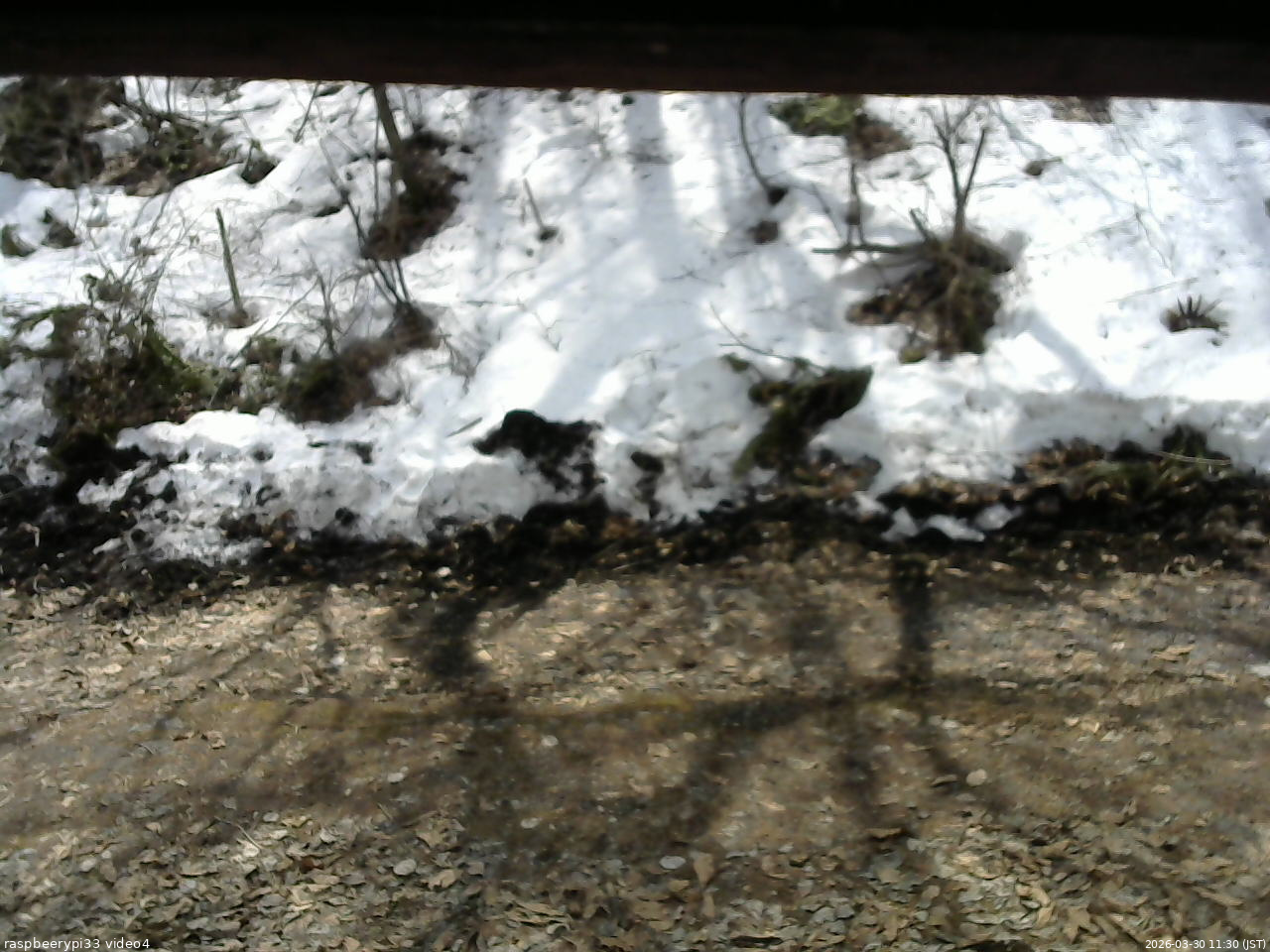 長野県菅平高原 ゆたか山荘 東側(坂下) 2026/03/30 11:30