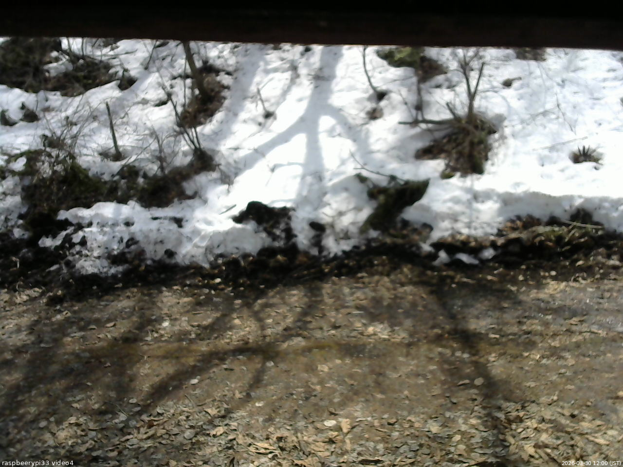 長野県菅平高原 ゆたか山荘 東側(坂下) 2026/03/30 12:00