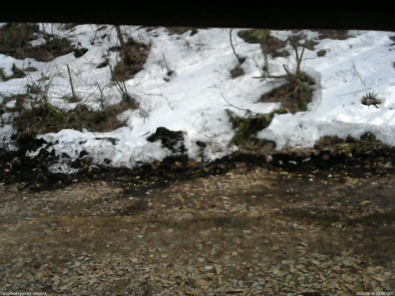 長野県菅平高原 ゆたか山荘 東側(坂下) 2026/03/30 15:00