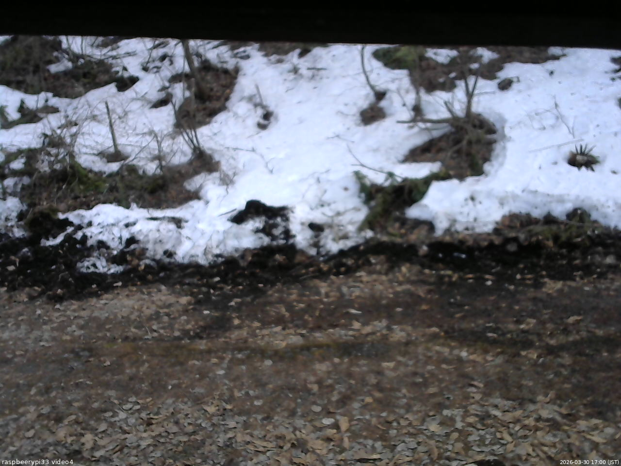 長野県菅平高原 ゆたか山荘 東側(坂下) 2026/03/30 17:00