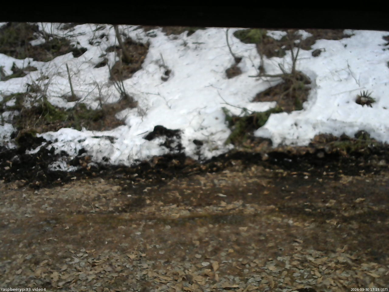 長野県菅平高原 ゆたか山荘 東側(坂下) 2026/03/30 17:15