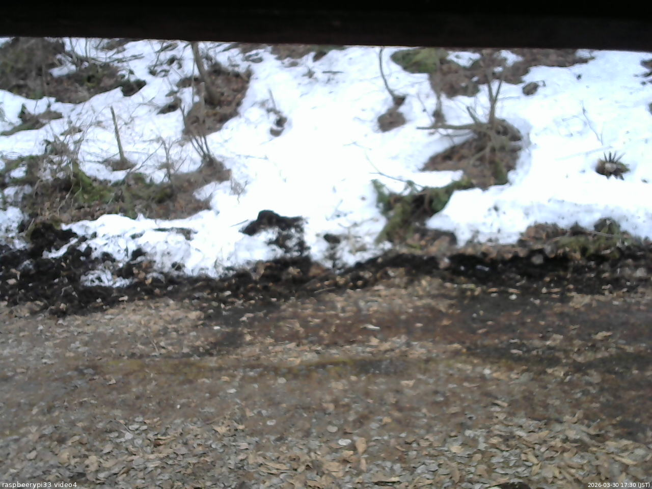 長野県菅平高原 ゆたか山荘 東側(坂下) 2026/03/30 17:30
