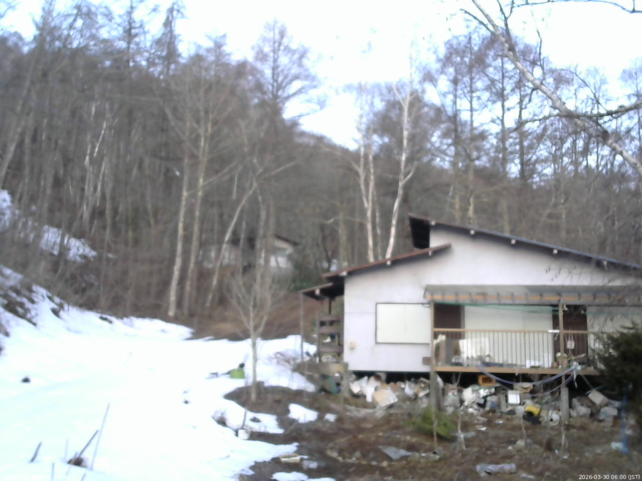 長野県菅平高原 ゆたか山荘 西側(坂上) 2026/03/30 06:00