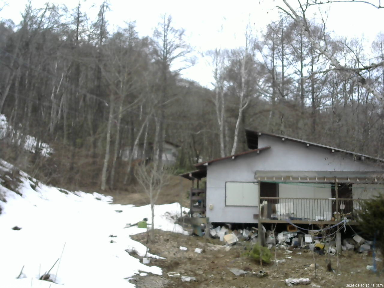 長野県菅平高原 ゆたか山荘 西側(坂上) 2026/03/30 12:45