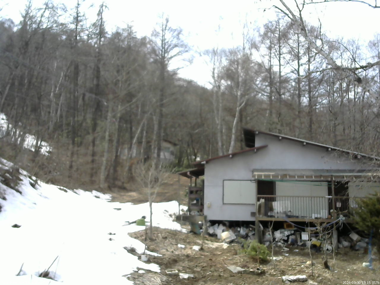 長野県菅平高原 ゆたか山荘 西側(坂上) 2026/03/30 13:15