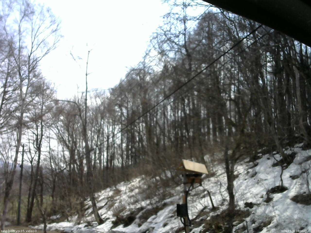 長野県菅平高原 ゆたか山荘 温度計 2026/03/30 10:30