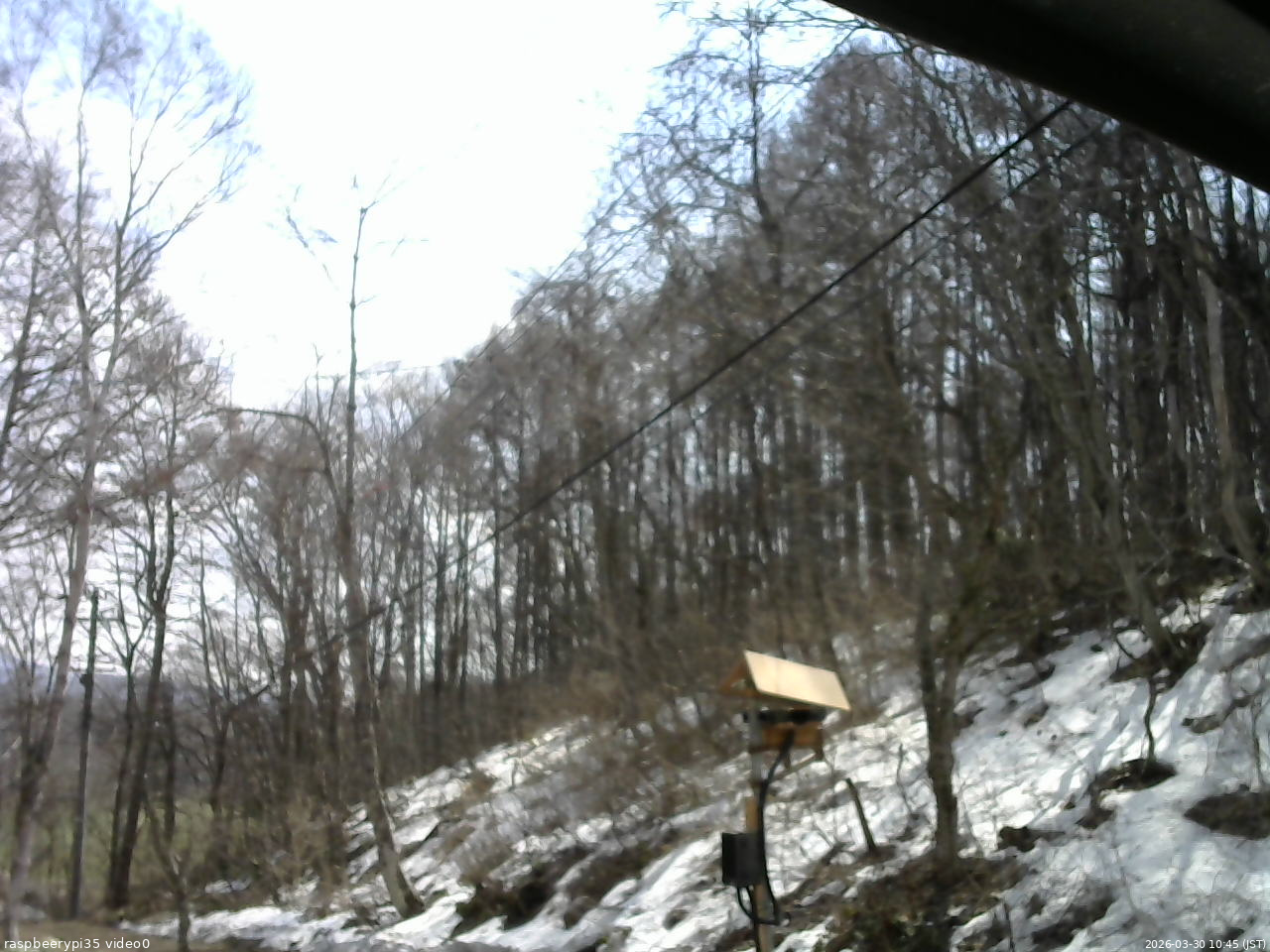 長野県菅平高原 ゆたか山荘 温度計 2026/03/30 10:45