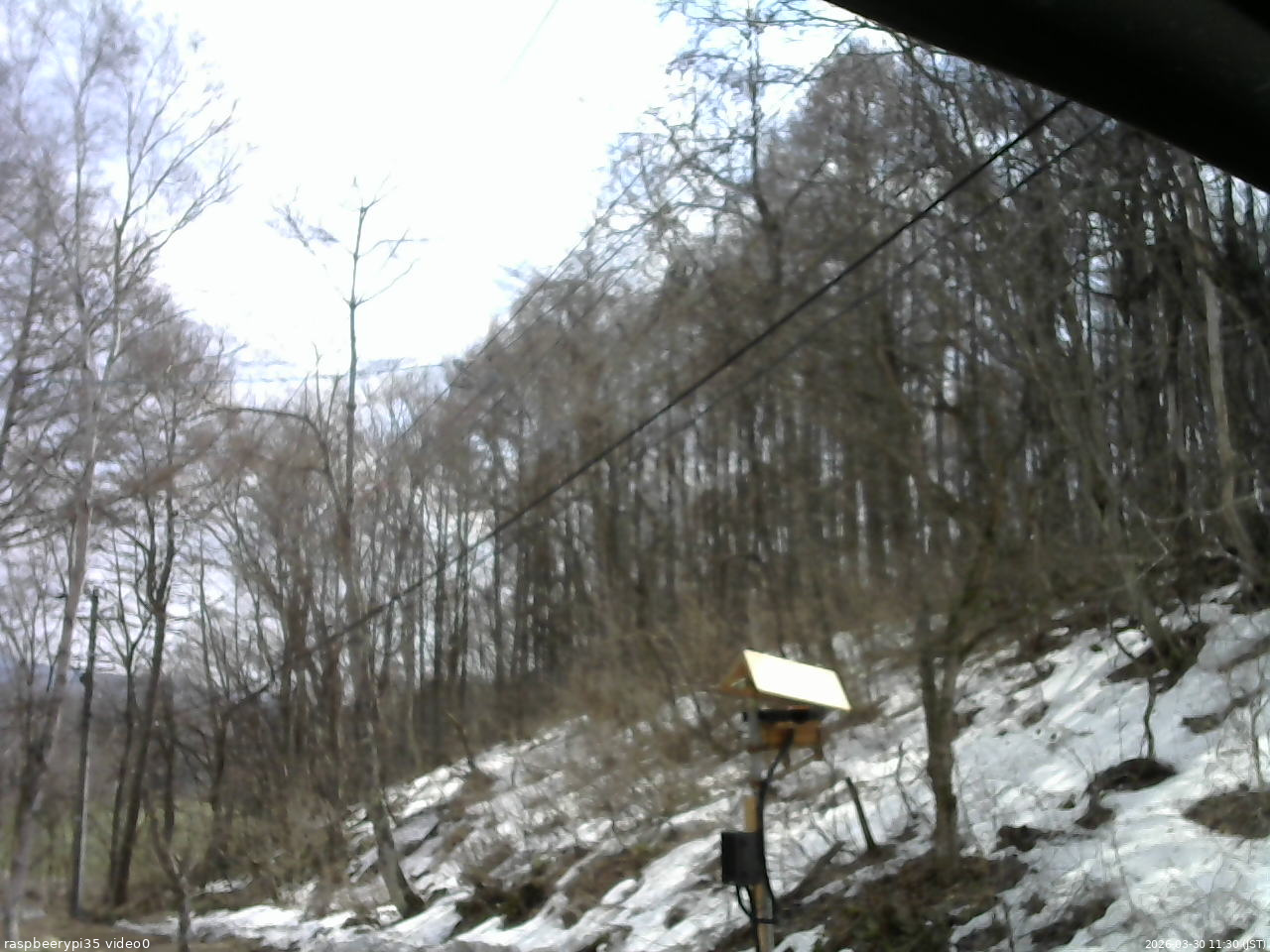 長野県菅平高原 ゆたか山荘 温度計 2026/03/30 11:30