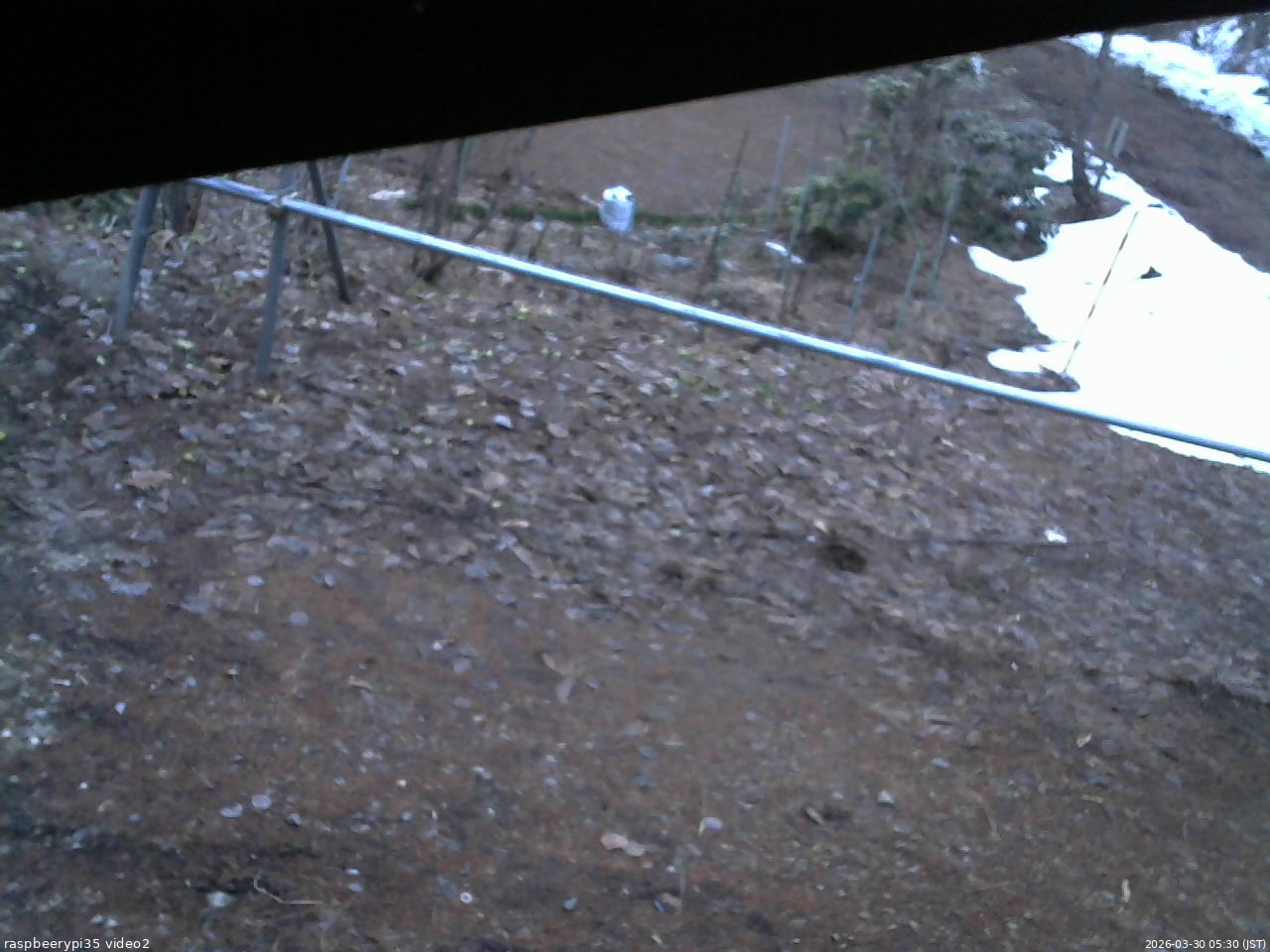 長野県菅平高原 ゆたか山荘 駐車場 2026/03/30 05:30