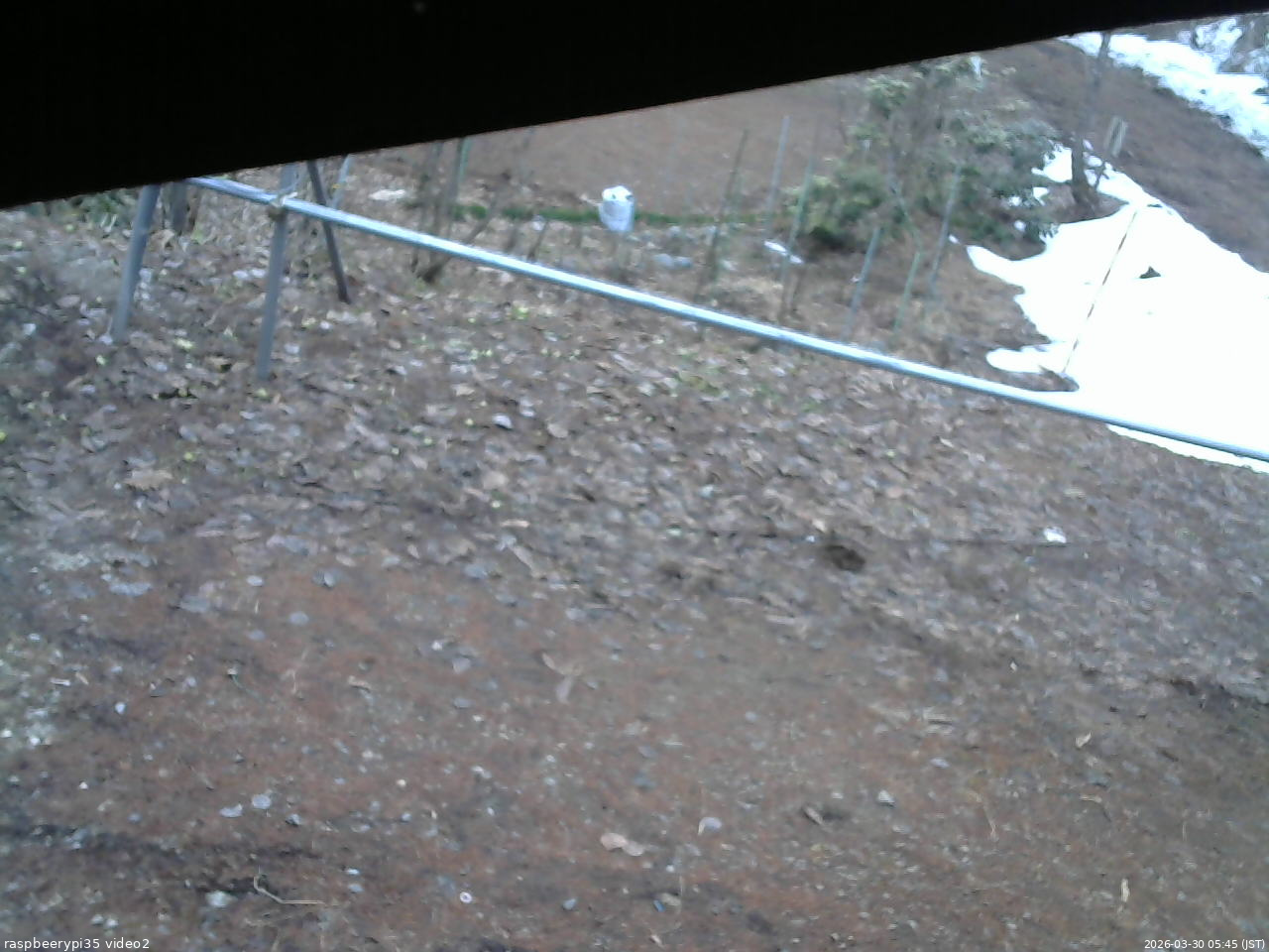 長野県菅平高原 ゆたか山荘 駐車場 2026/03/30 05:45