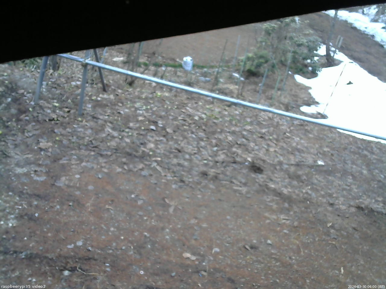 長野県菅平高原 ゆたか山荘 駐車場 2026/03/30 06:00