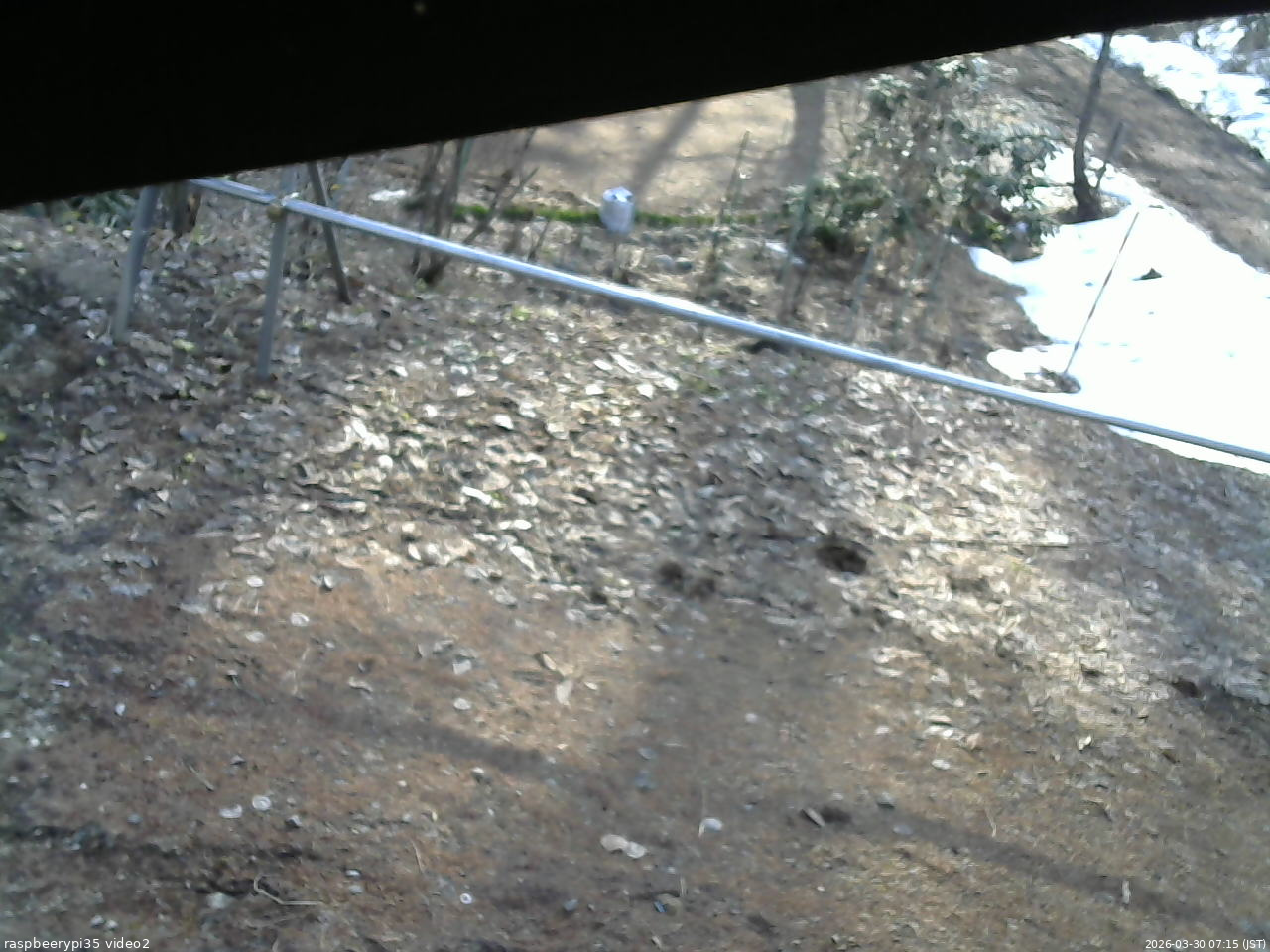 長野県菅平高原 ゆたか山荘 駐車場 2026/03/30 07:15