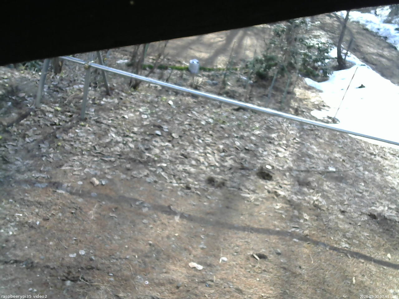 長野県菅平高原 ゆたか山荘 駐車場 2026/03/30 07:45