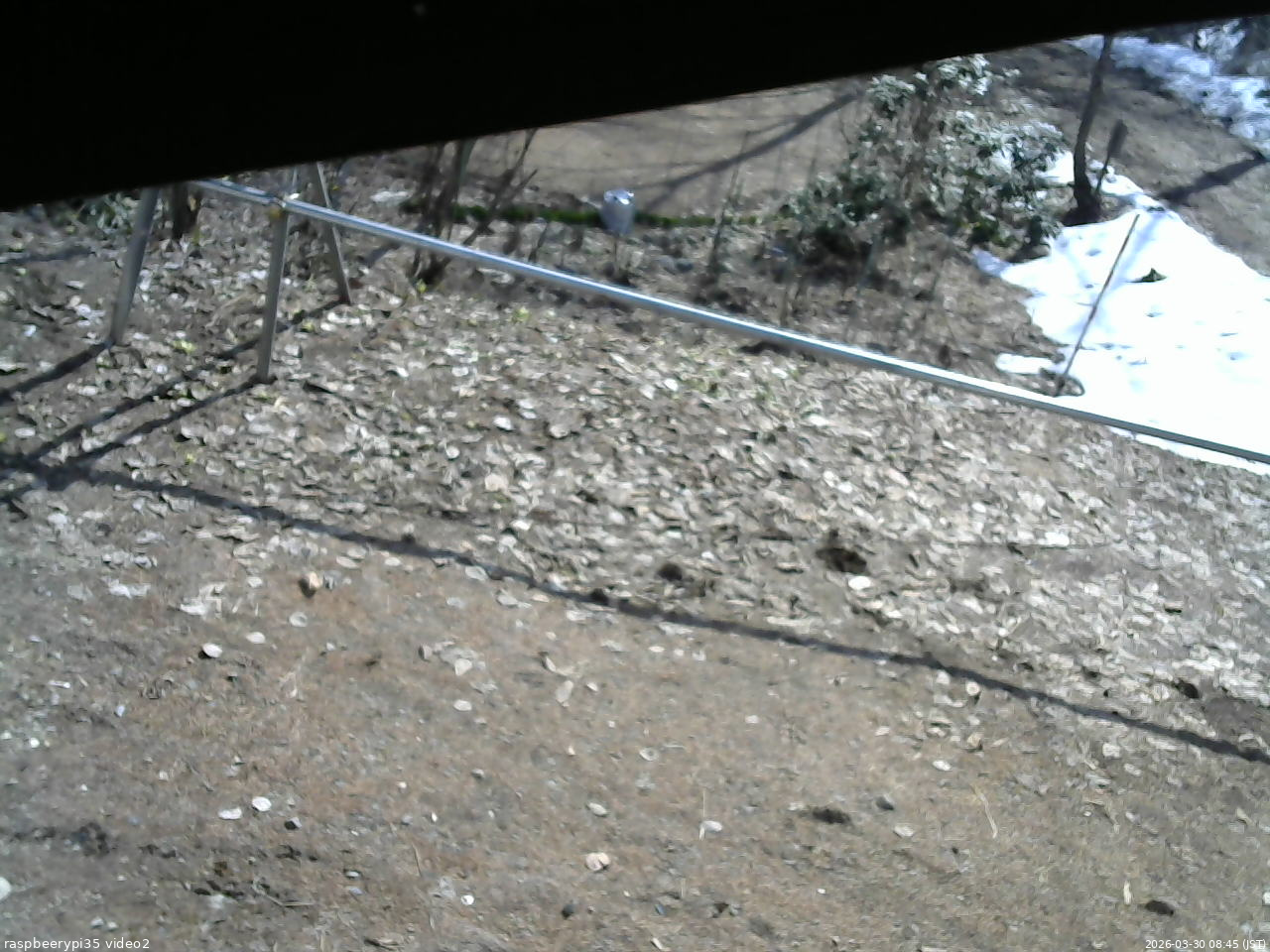 長野県菅平高原 ゆたか山荘 駐車場 2026/03/30 08:45