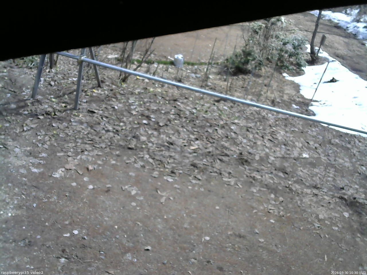 長野県菅平高原 ゆたか山荘 駐車場 2026/03/30 10:30