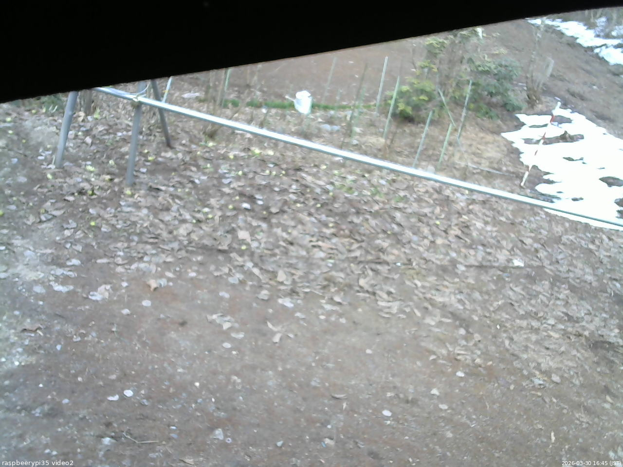 長野県菅平高原 ゆたか山荘 駐車場 2026/03/30 16:45