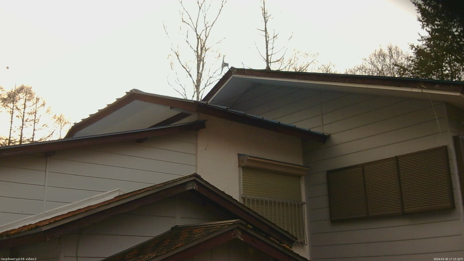 長野県菅平高原 ゆたか山荘 駐車場奥 2026/03/30 17:15