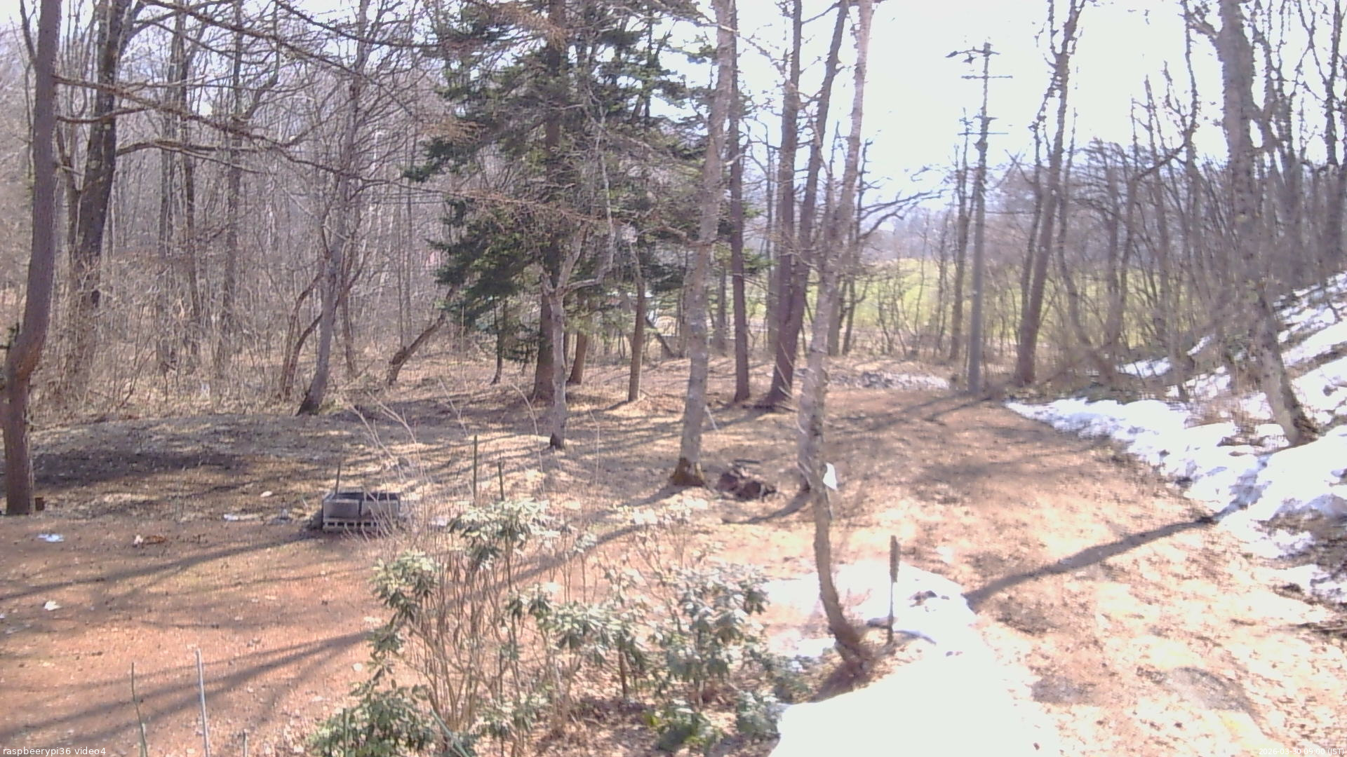長野県菅平高原 ゆたか山荘 坂上 2026/03/30 09:00