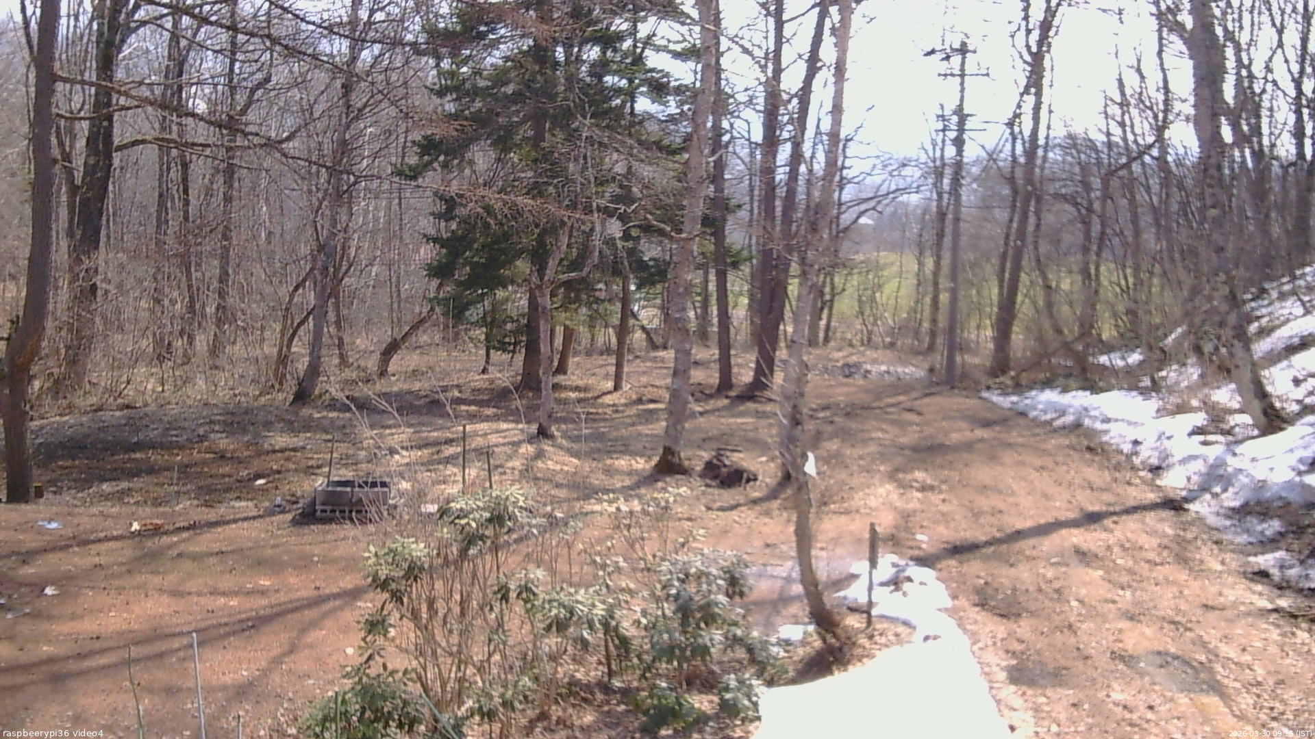 長野県菅平高原 ゆたか山荘 坂上 2026/03/30 09:15