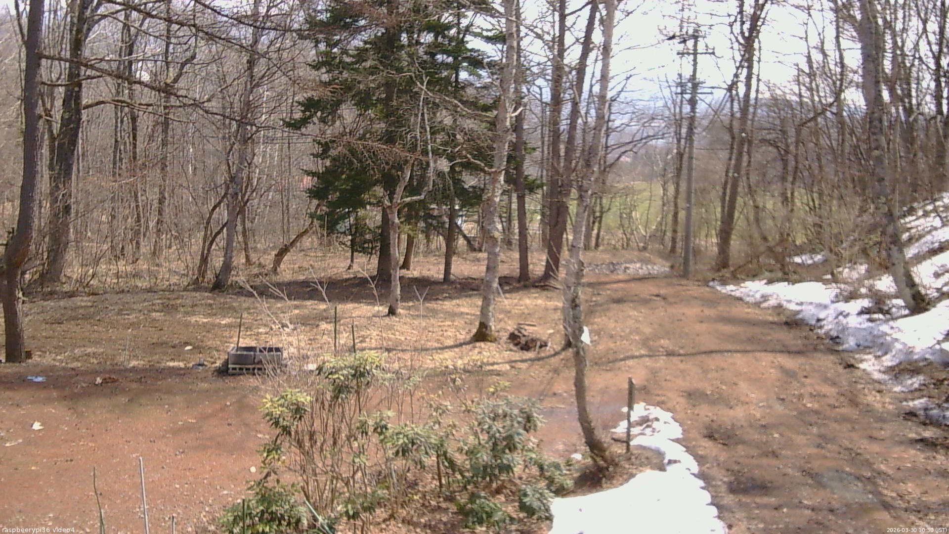 長野県菅平高原 ゆたか山荘 坂上 2026/03/30 10:30