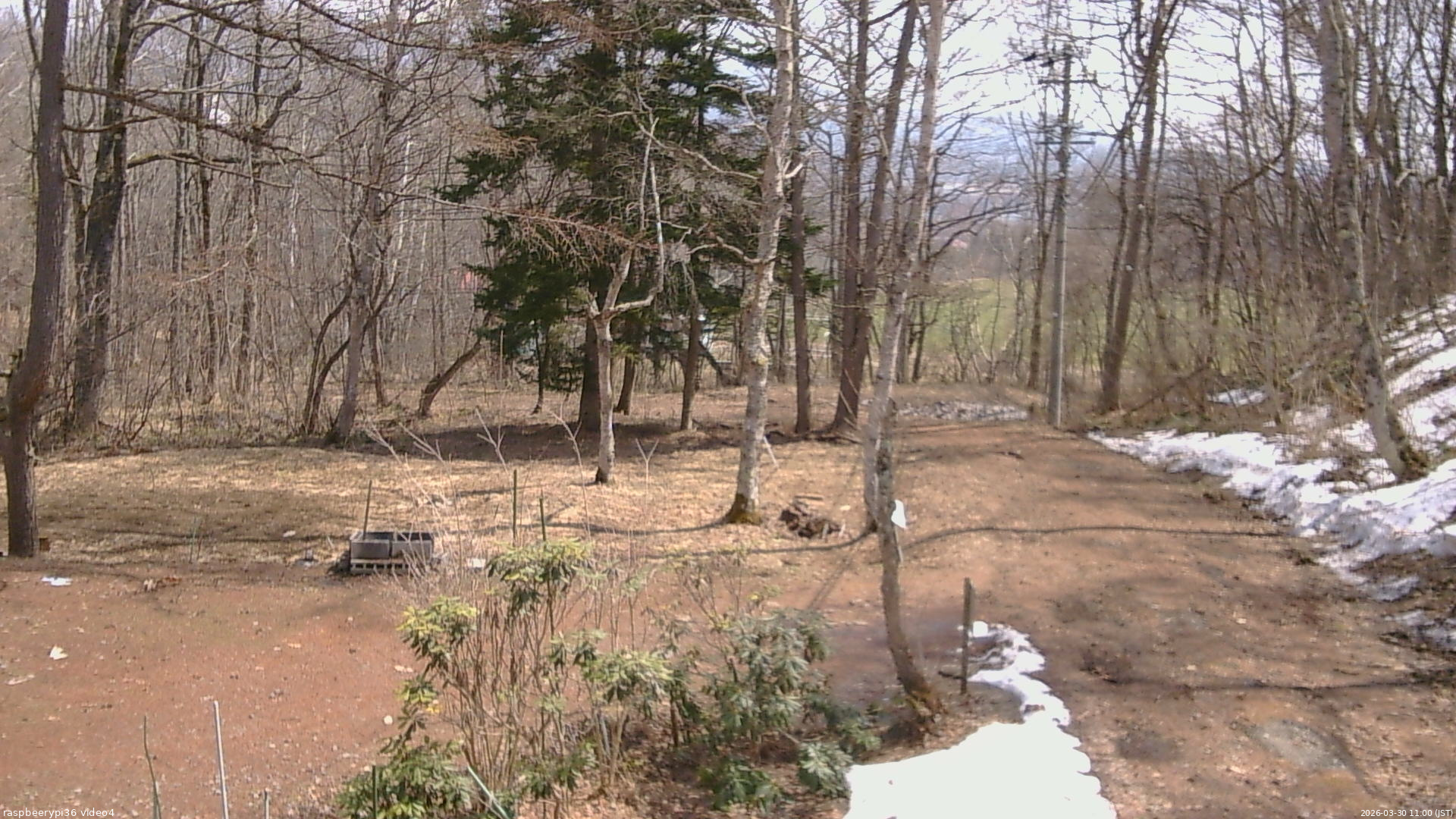 長野県菅平高原 ゆたか山荘 坂上 2026/03/30 11:00