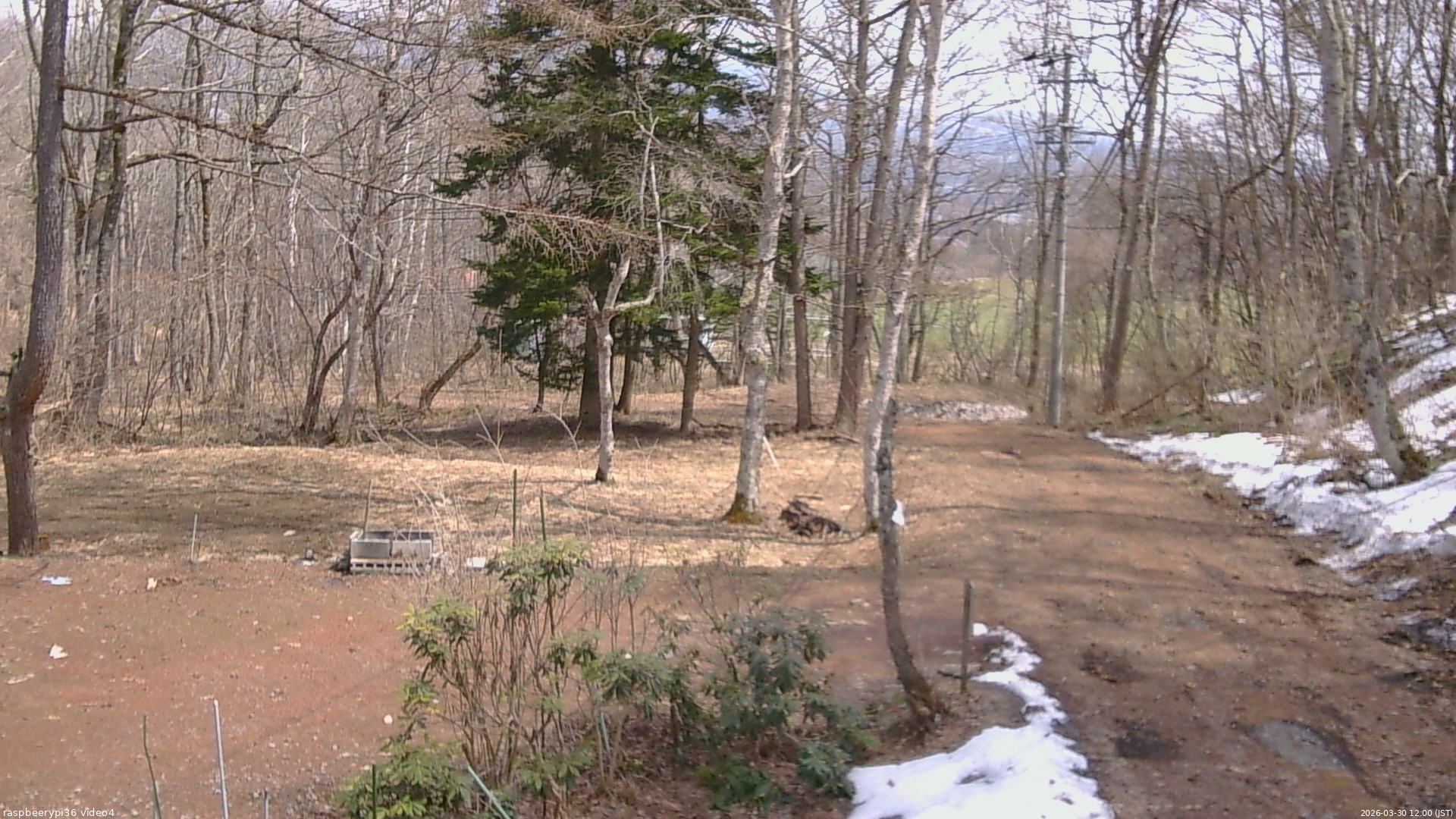 長野県菅平高原 ゆたか山荘 坂上 2026/03/30 12:00
