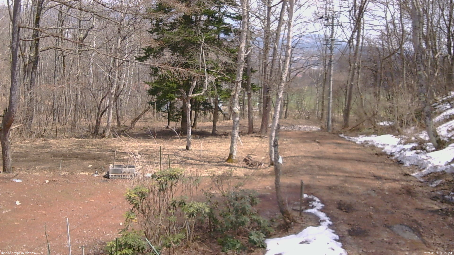 長野県菅平高原 ゆたか山荘 坂上 2026/03/30 12:15
