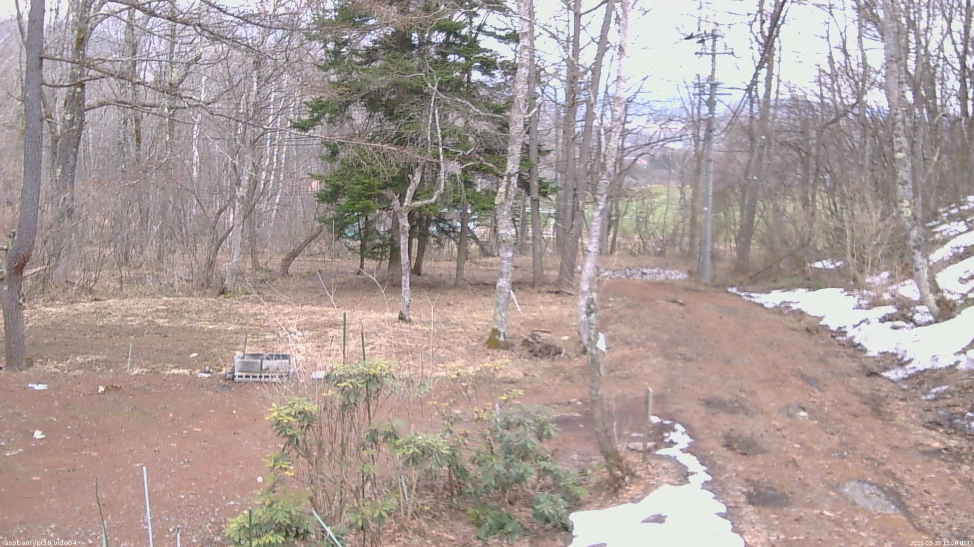 長野県菅平高原 ゆたか山荘 坂上 2026/03/30 13:00