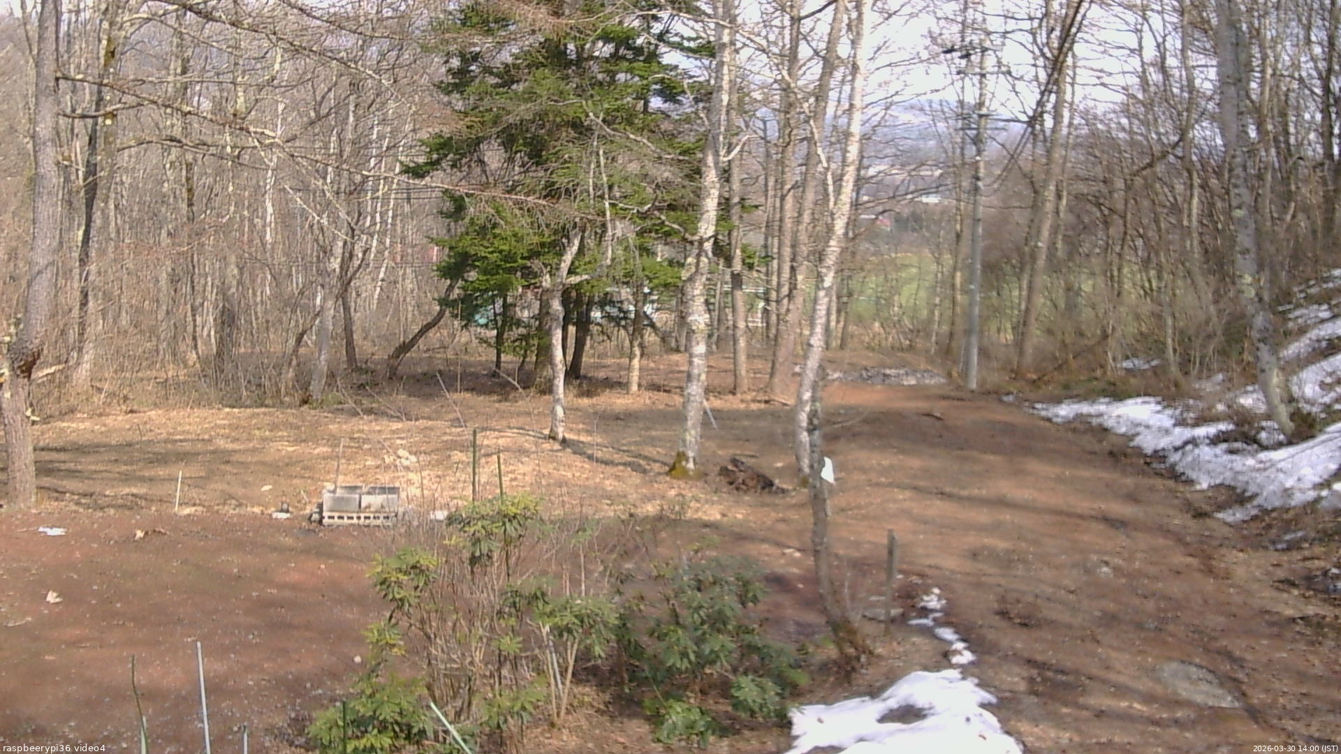 長野県菅平高原 ゆたか山荘 坂上 2026/03/30 14:00