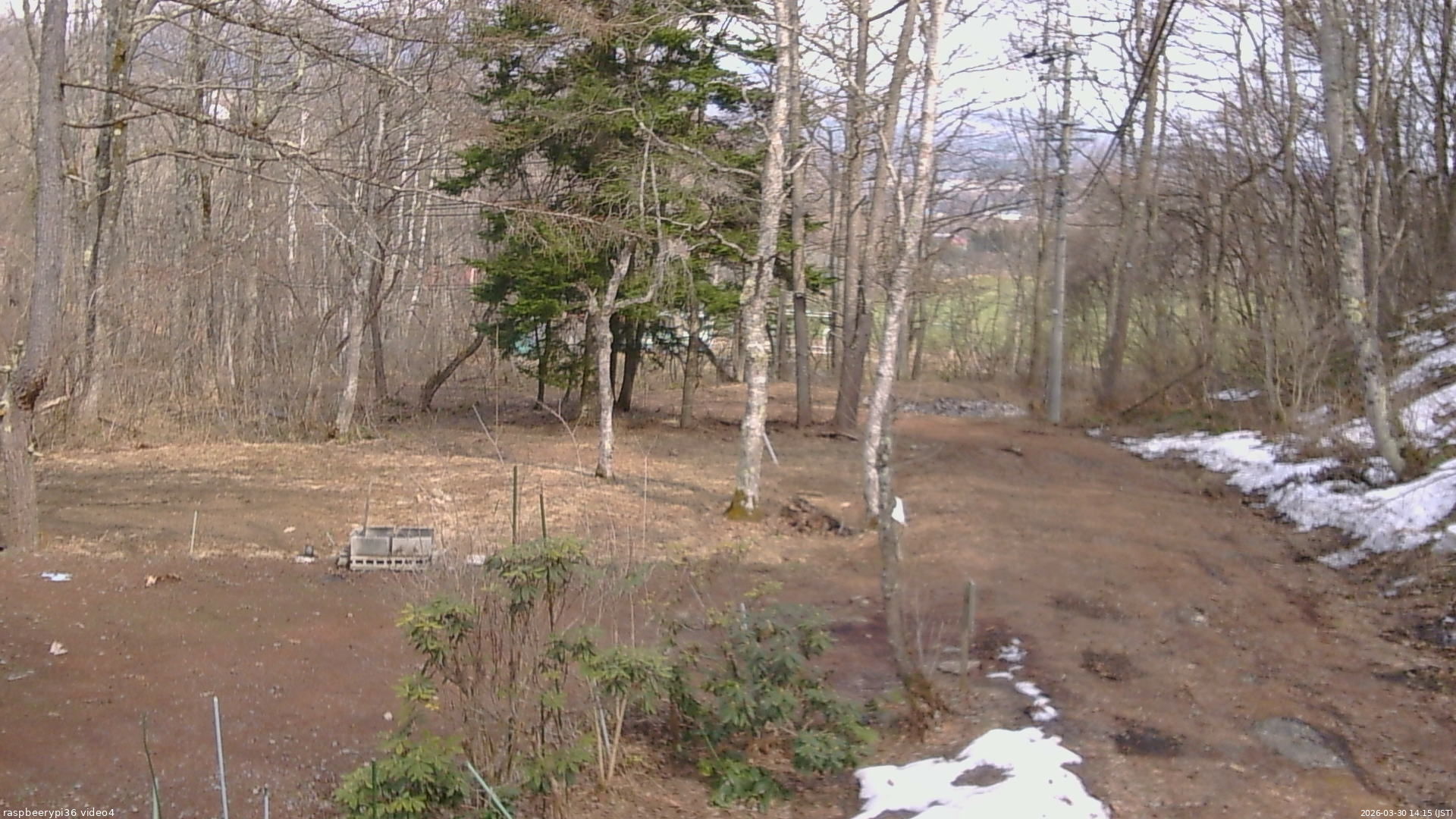 長野県菅平高原 ゆたか山荘 坂上 2026/03/30 14:15