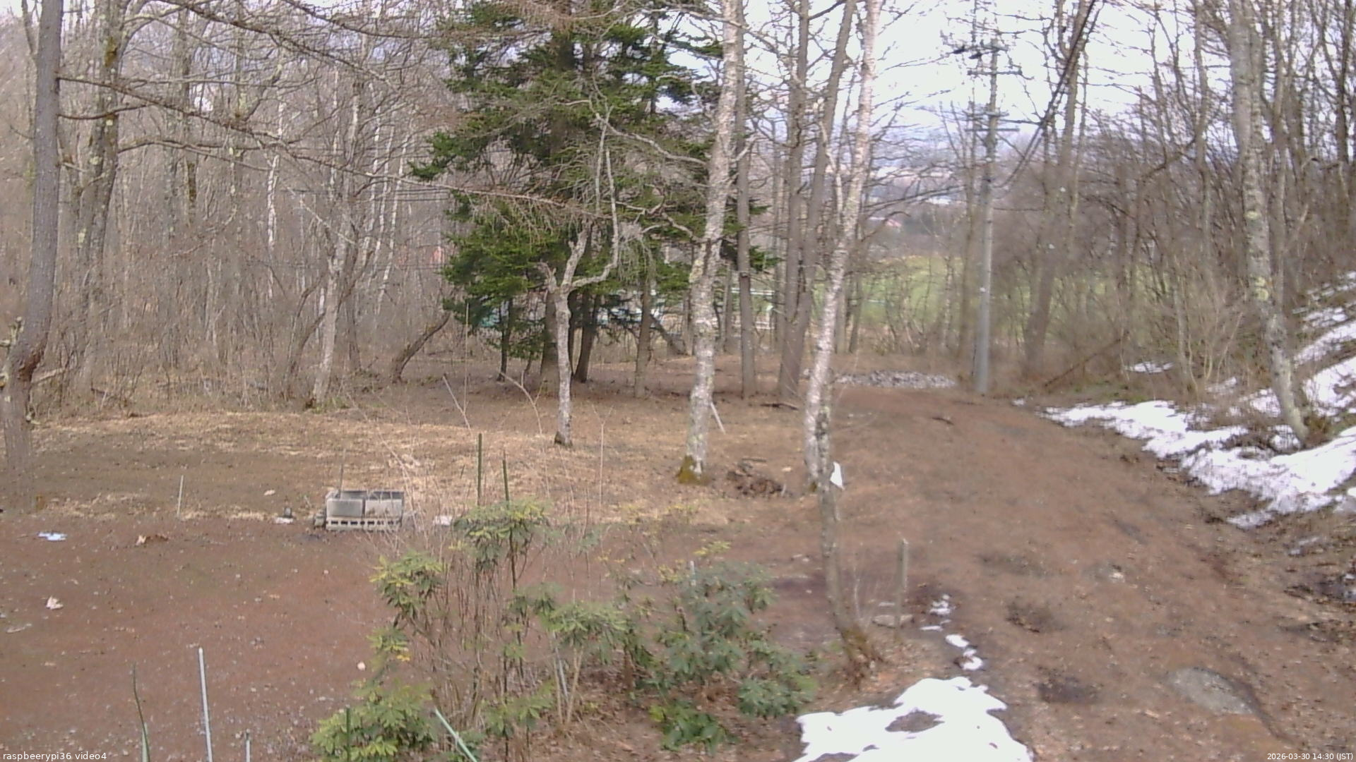 長野県菅平高原 ゆたか山荘 坂上 2026/03/30 14:30